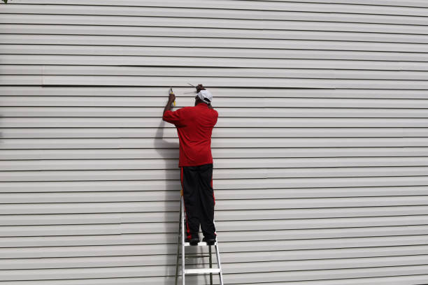 Professional Siding in Strawberry Plains, TN
